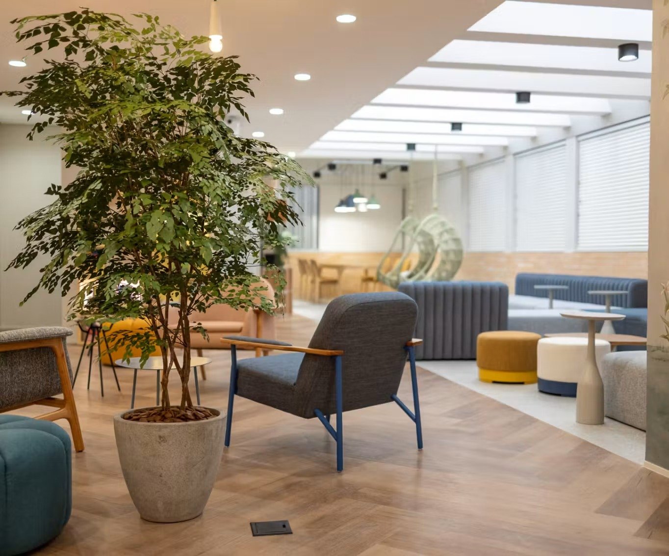 Área de espera do consultório, com plantas e poltronas confortáveis
